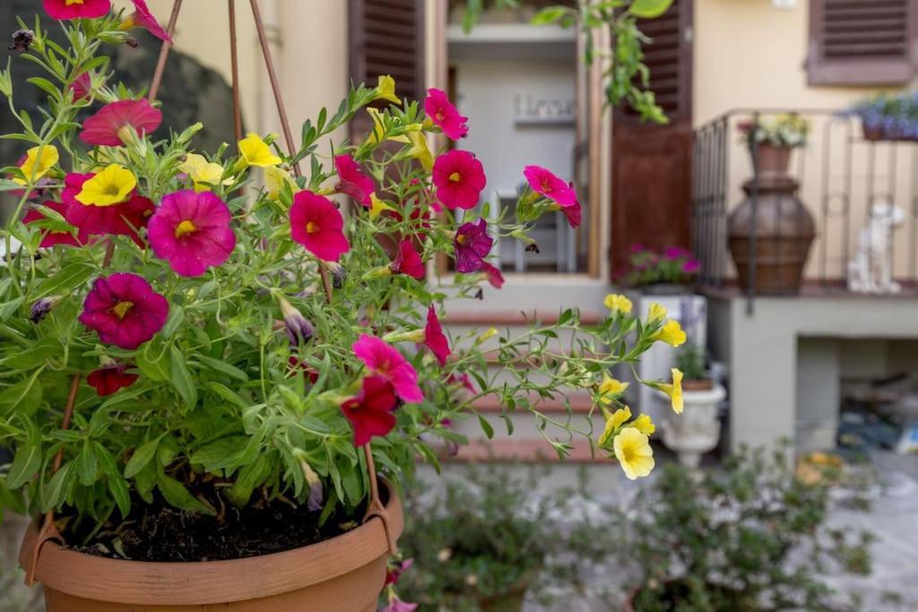 Loft Ortensia Garden Wifi Air Conditioning フィレンツェ エクステリア 写真